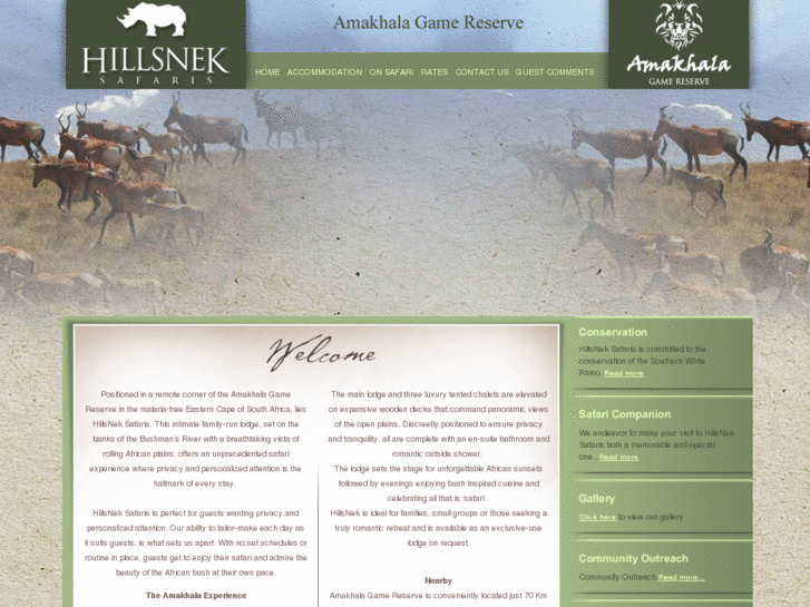 www.hillsneksafaris.com