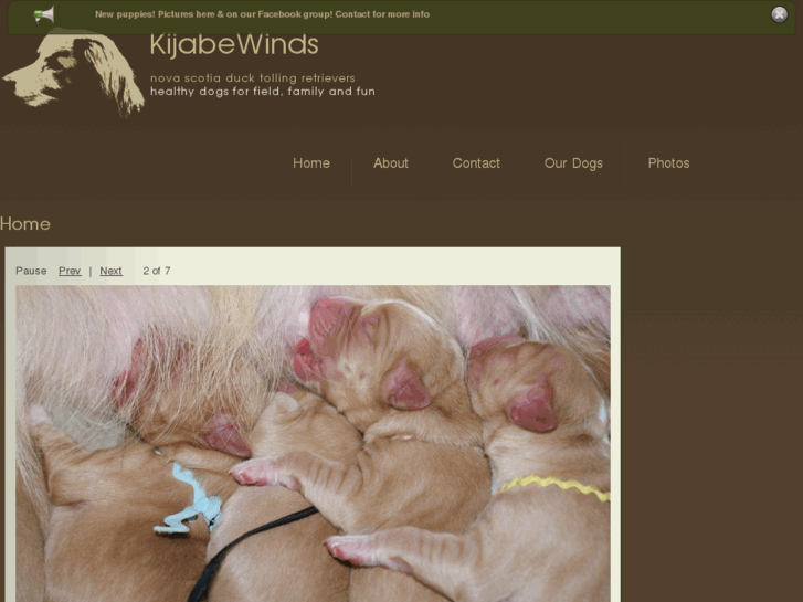 www.kijabewinds.com