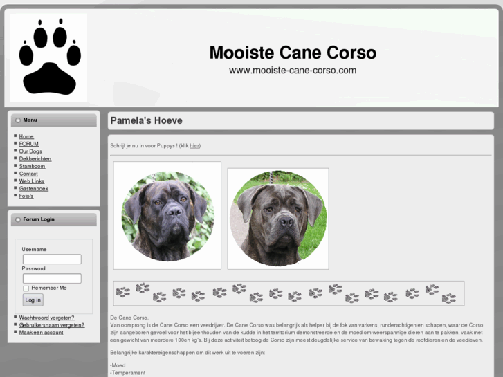 www.mooiste-cane-corso.com