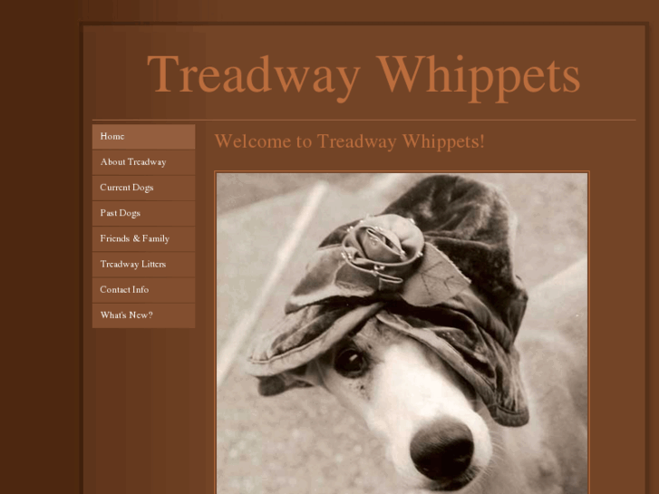 www.treadwaywhippets.com