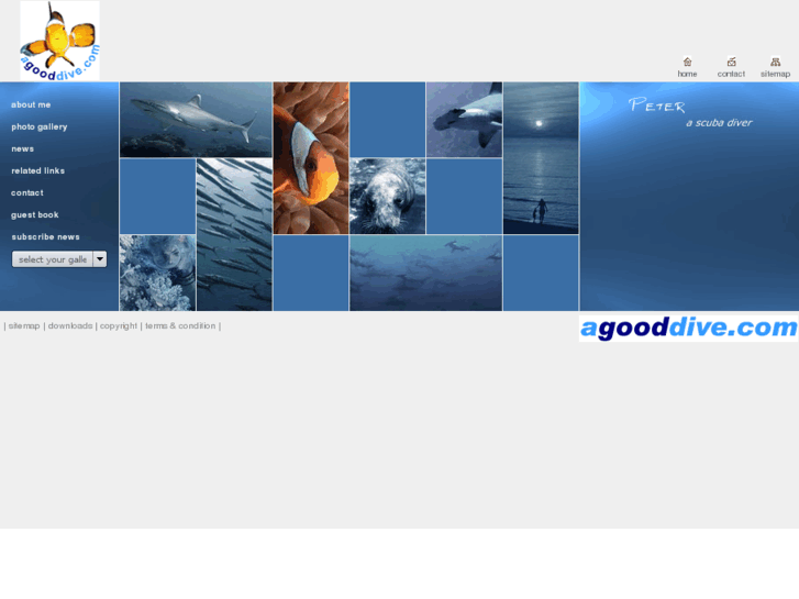 www.agooddive.com