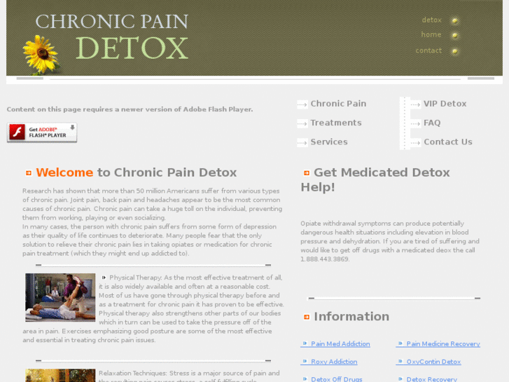 www.chronicpaindetox.com