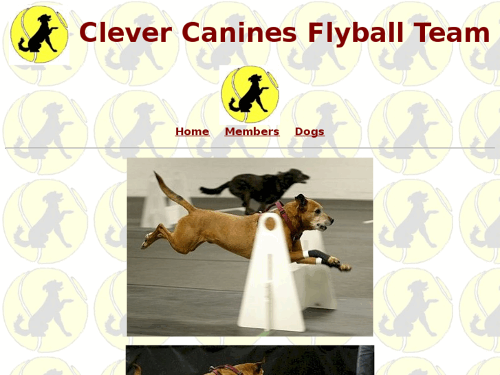 www.clevercanines.org