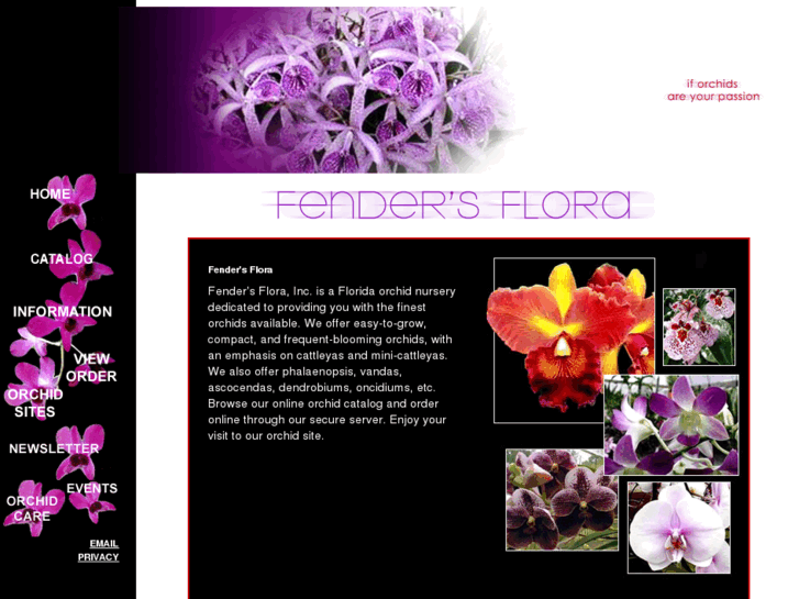 www.fendersflora.com