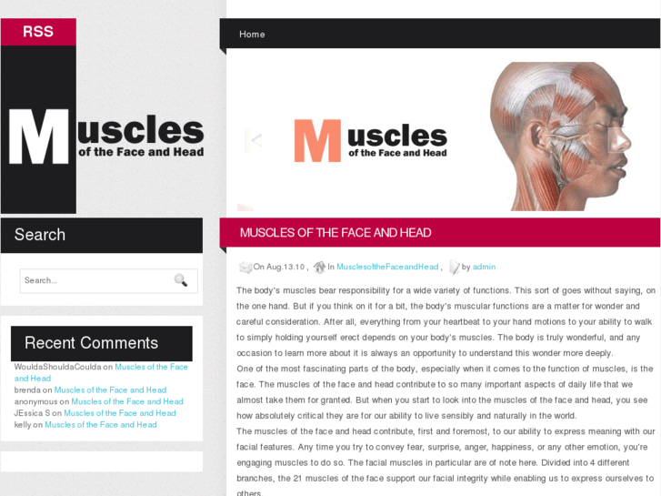 www.musclesofthefaceandhead.com