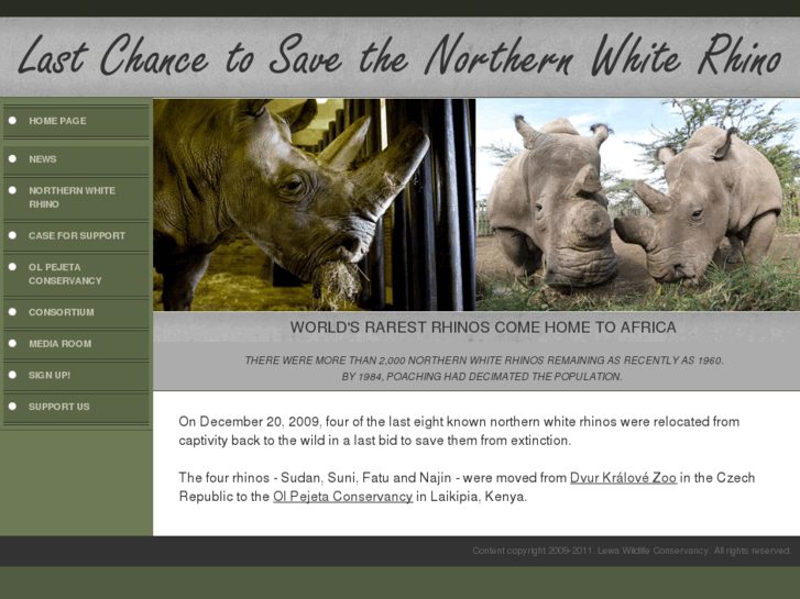 www.northernwhiterhinolastchance.com