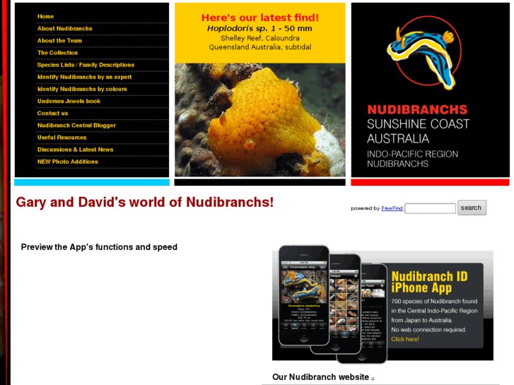 www.nudibranch.com.au