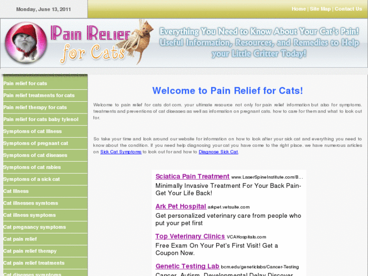 www.painreliefforcats.com