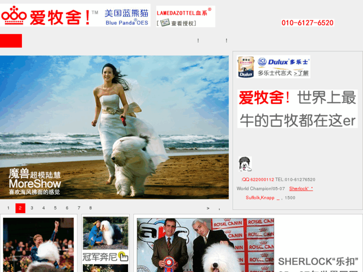 www.sheepdog.com.cn