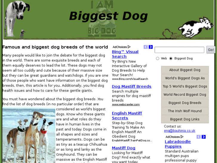www.biggestdog.co.uk