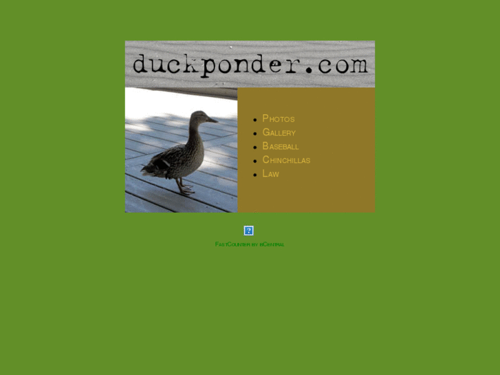 www.duckponder.com