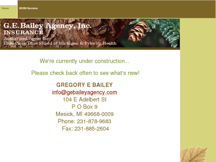 www.gebaileyagency.com