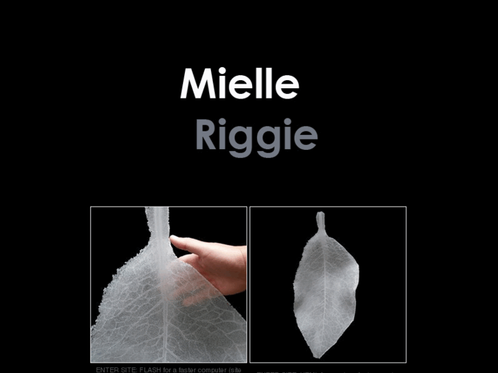 www.mielleriggie.com