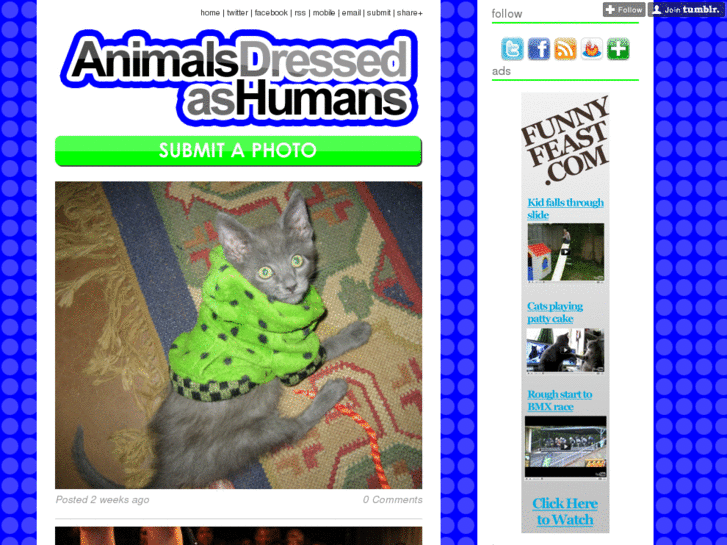 www.animalsdressedashumans.com