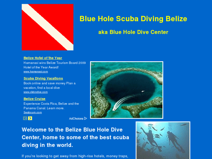 www.bluedive.com