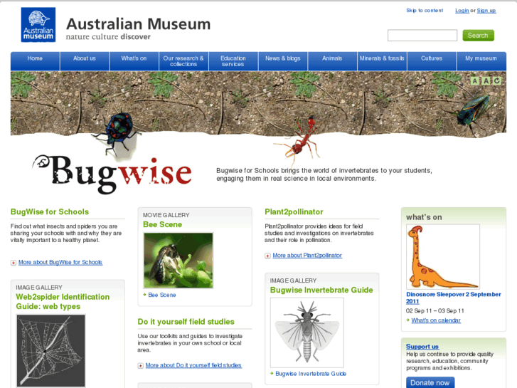 www.bugwise.net.au