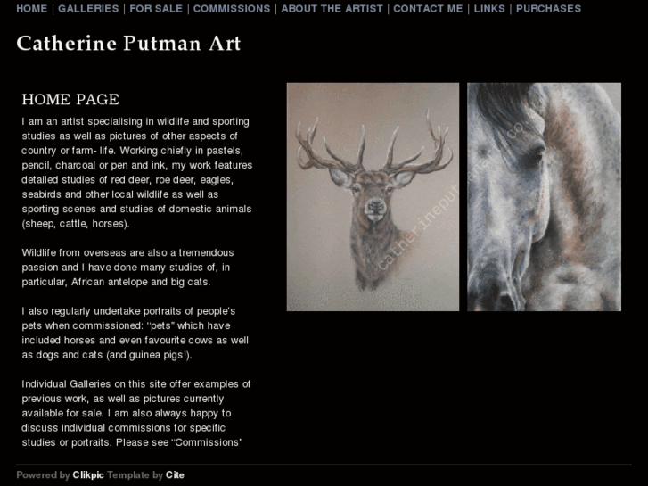 www.catherineputmanart.co.uk