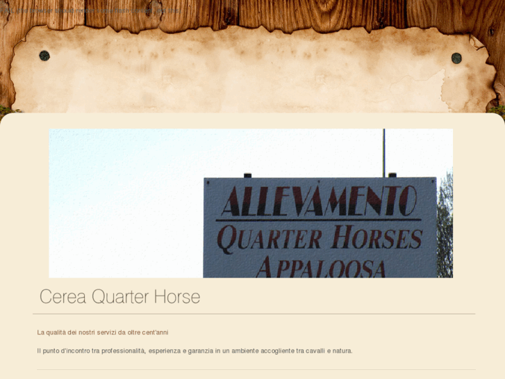 www.cereaquarterhorse.com