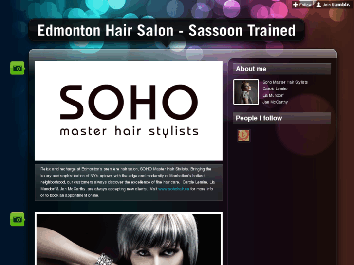 www.edmontonhairstylist.com