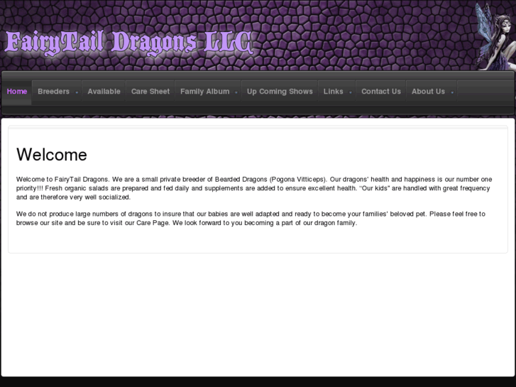 www.fairytaildragons.com