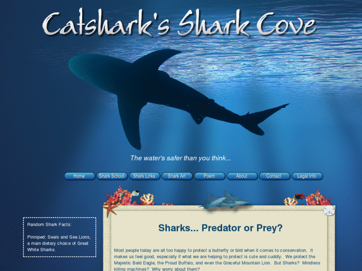 www.sharkcove.info