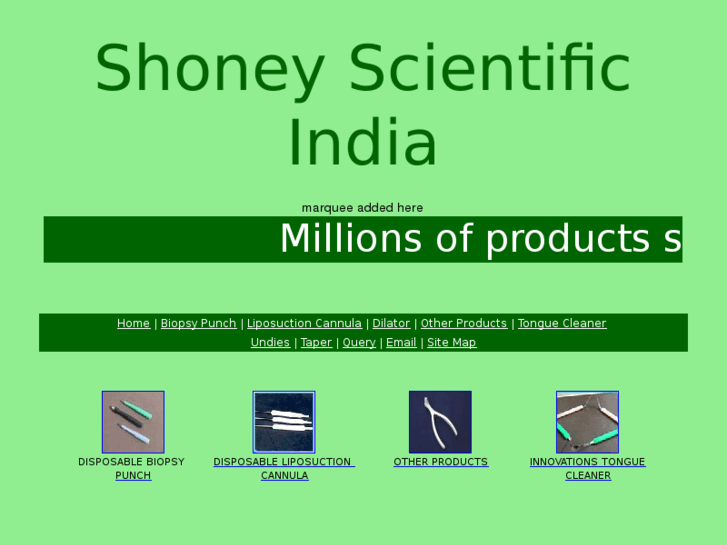 www.shoney.biz