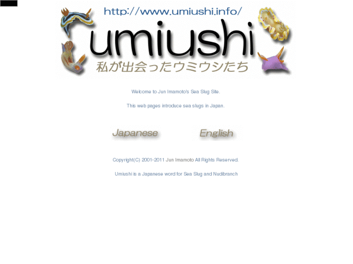 www.umiushi.info