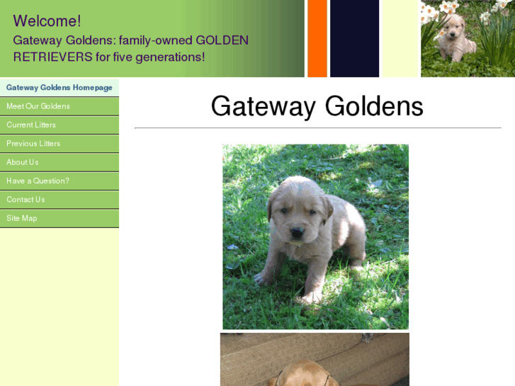 www.gatewaygoldens.com