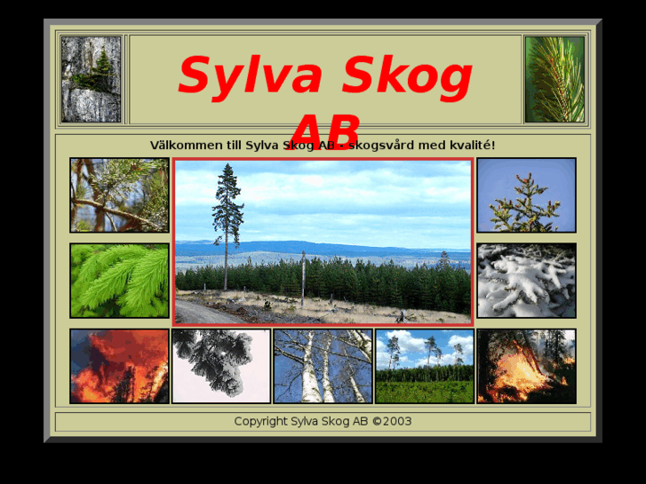 www.sylvaskog.com