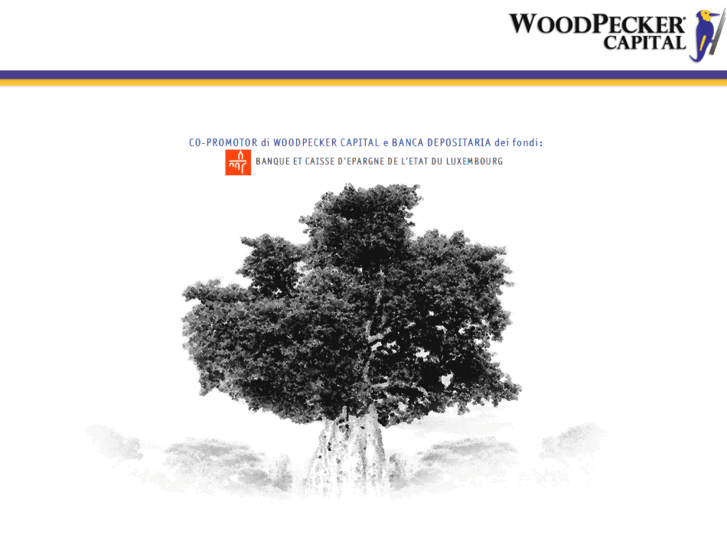 www.woodpeckercapital.com