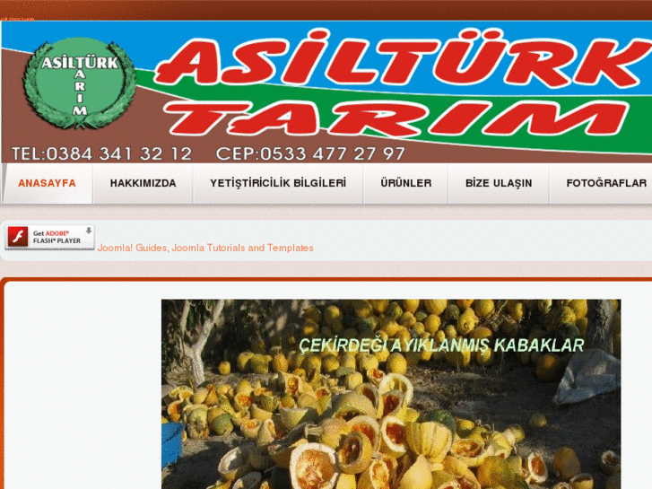 www.asilturktarim.com