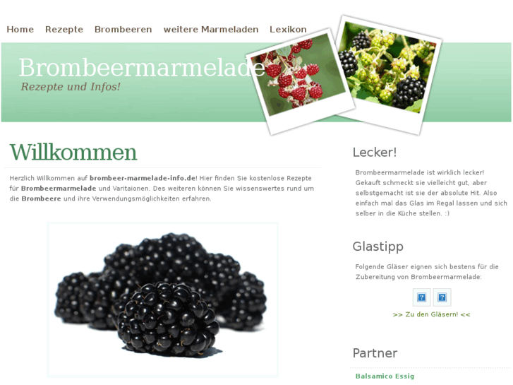 www.brombeer-marmelade-info.de