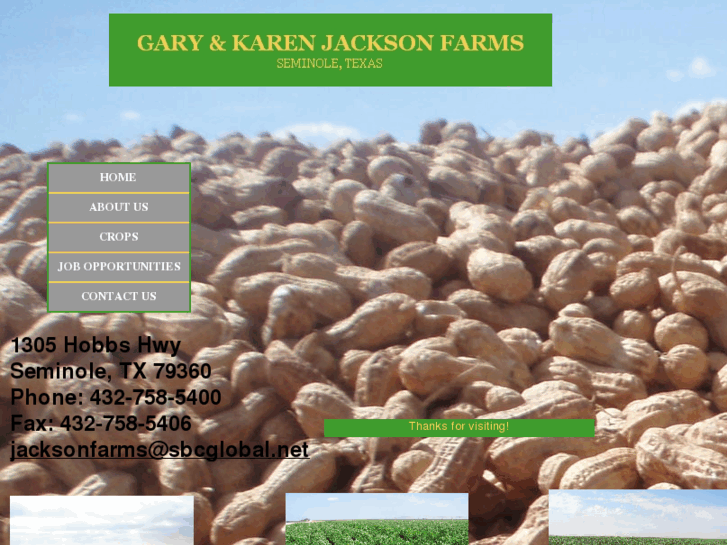 www.jacksonseminolefarms.com