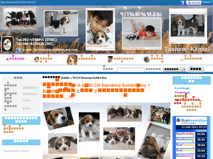 www.tonhom-kennel.com