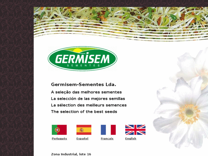 www.germisem.com