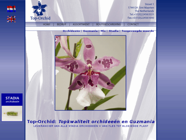 www.top-orchid.com