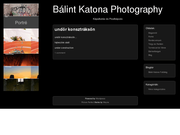 www.balintkatona.com