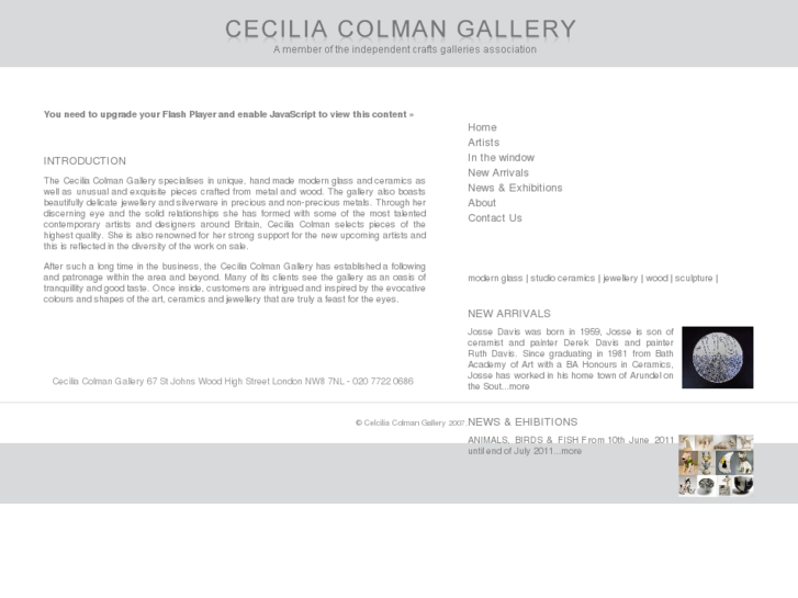 www.ceciliacolmangallery.com