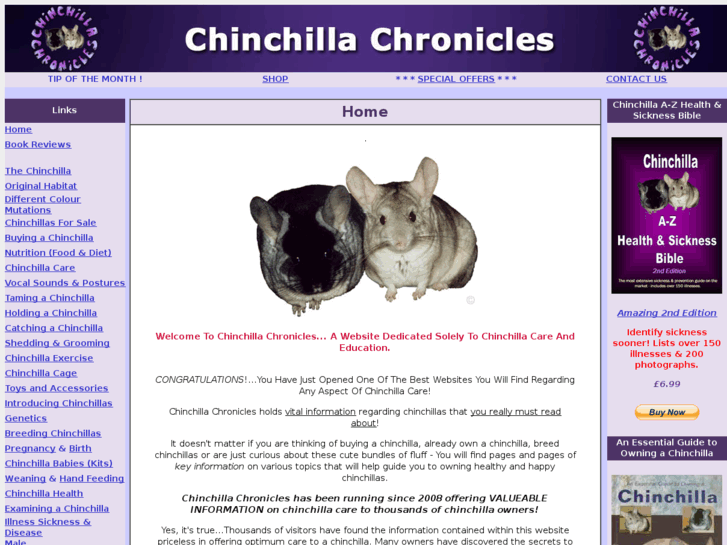 www.chinchillachronicles.com