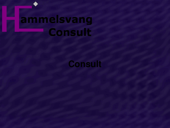 www.hammelsvang-consult.com