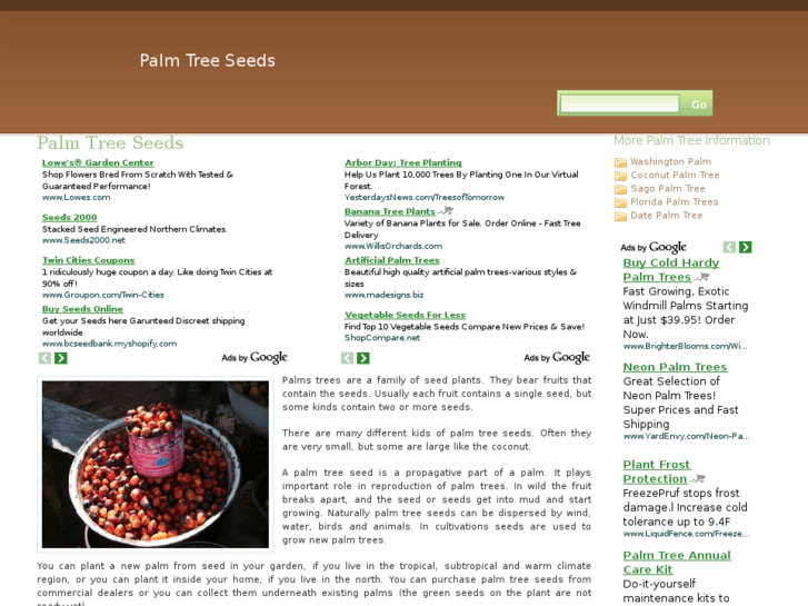 www.palmtreeseeds.net