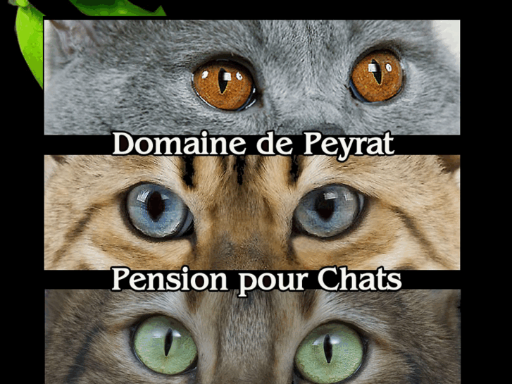 www.pension-de-peyrat.com