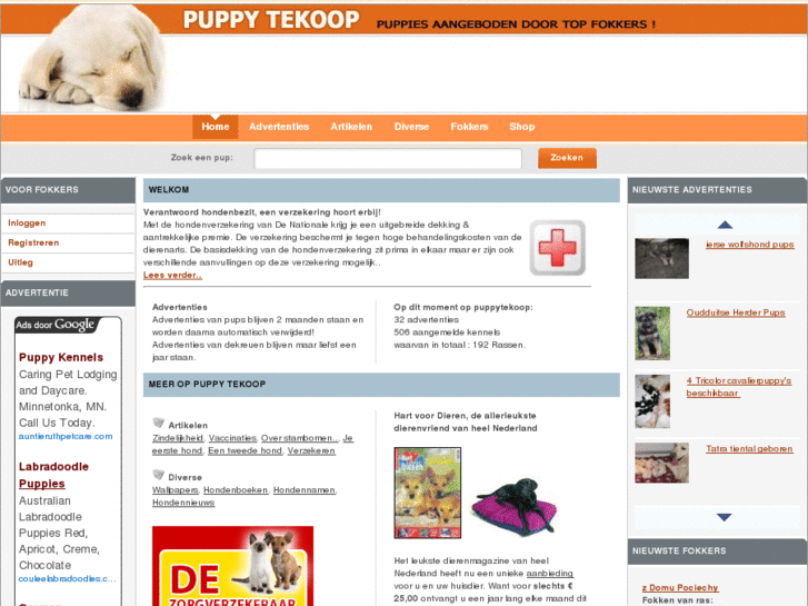 www.puppytekoop.nl