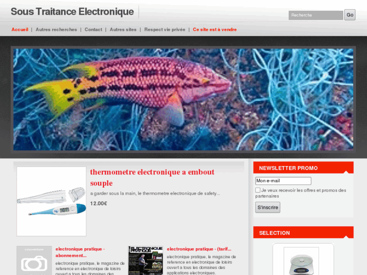 www.sous-traitance-electronique.com