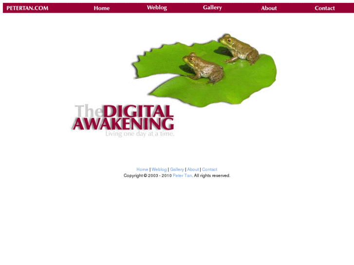 www.thedigitalawakening.com