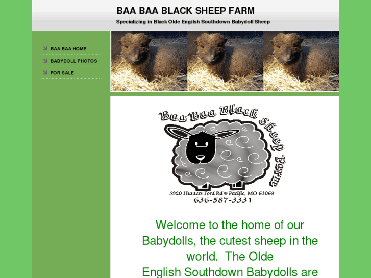 www.baabaablacksheepfarm.com