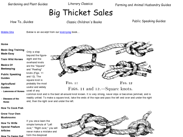 www.bigthicketsales.com