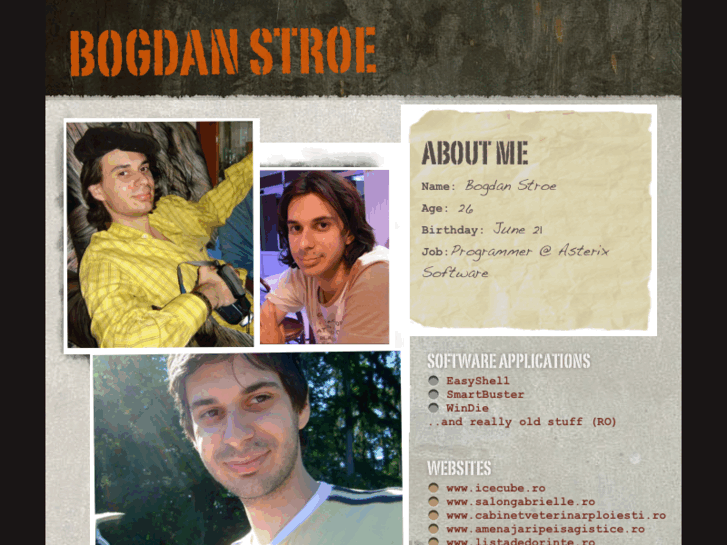 www.bogdanstroe.com