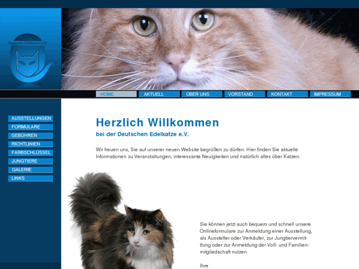 www.deutsche-edelkatze.de