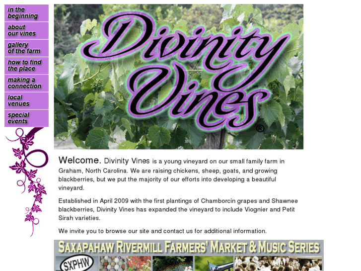 www.divinityvines.com